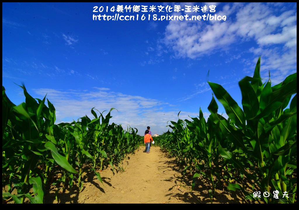 2014義竹鄉玉米文化季DSC_6010