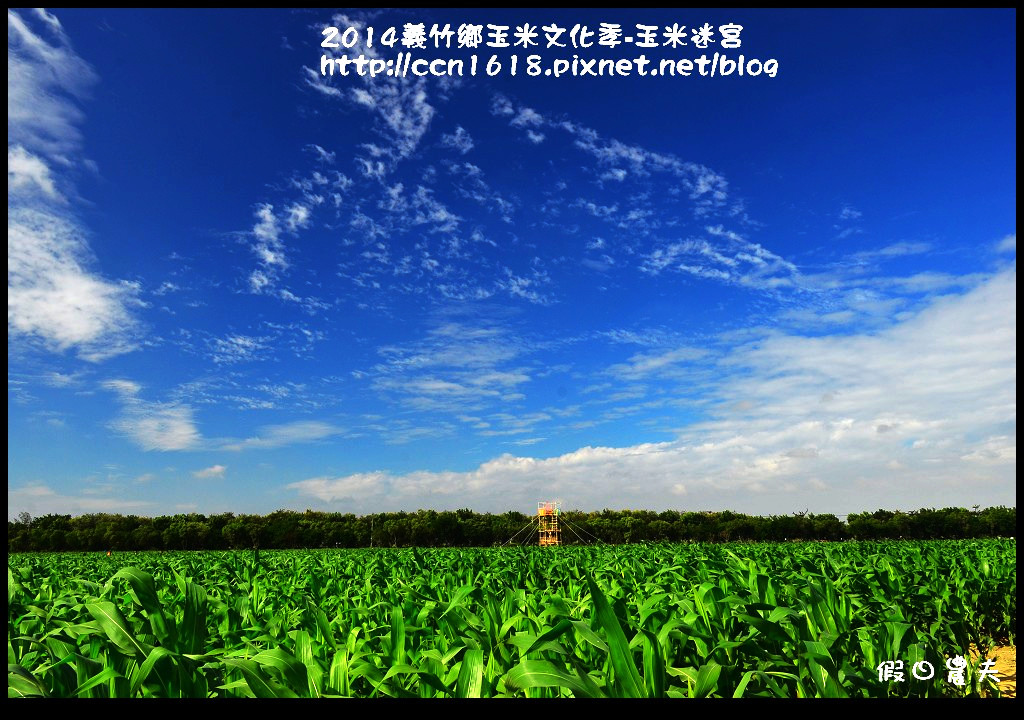 2014義竹鄉玉米文化季DSC_5975