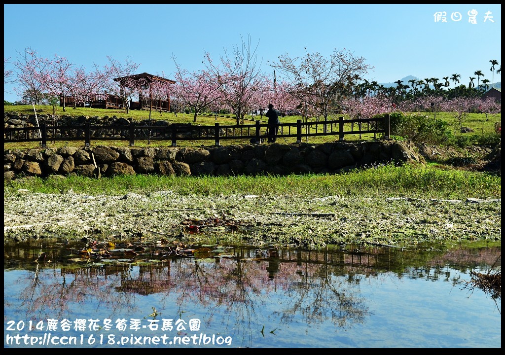 2014鹿谷櫻花冬筍季-石馬公園DSC_1727