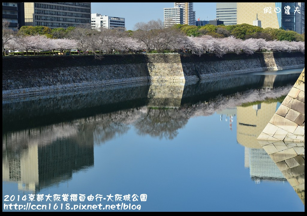2014京都大阪賞櫻自由行-大阪城公園DSC_1752