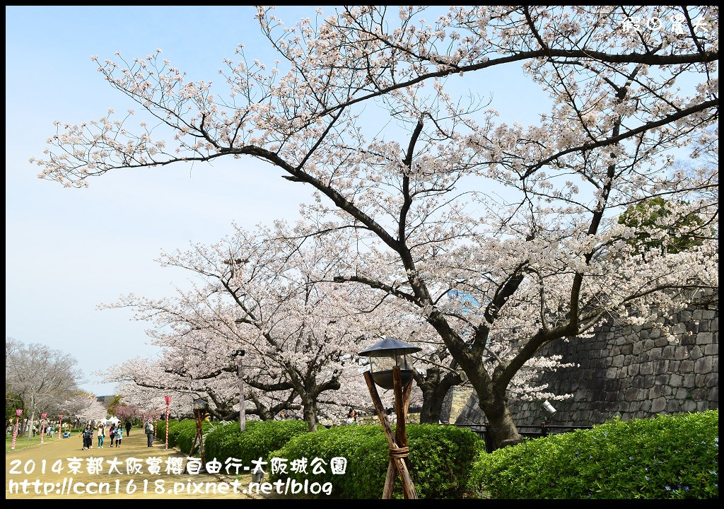 2014京都大阪賞櫻自由行-大阪城公園DSC_1852
