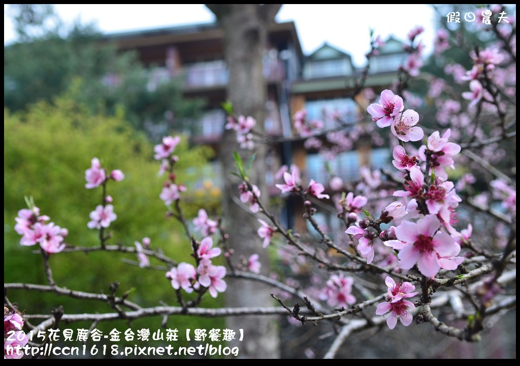 2015花見鹿谷-金台灣山莊【野餐趣】DSC_3161