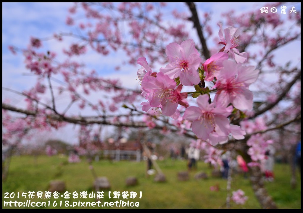 2015花見鹿谷-金台灣山莊【野餐趣】DSC_2254