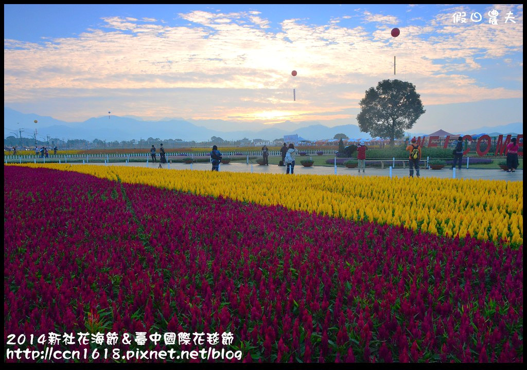 2014新社花海節＆臺中國際花毯節DSC_4807