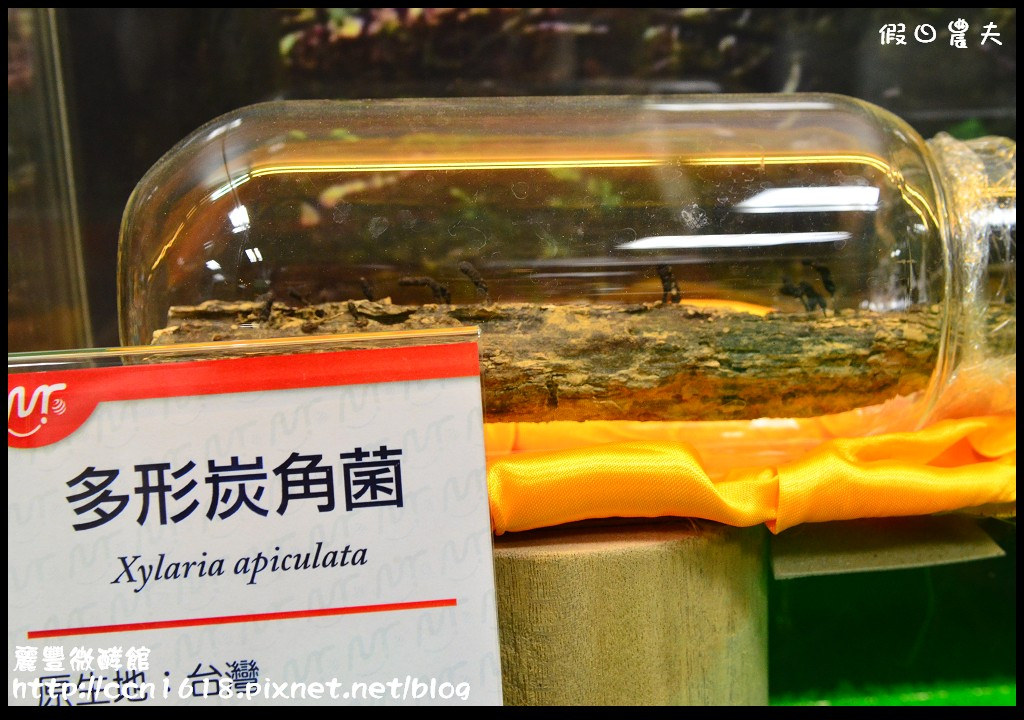 【台南旅遊】麗豐微酵館‧臺灣第一家以【微生物發酵應用】主題的觀光工廠