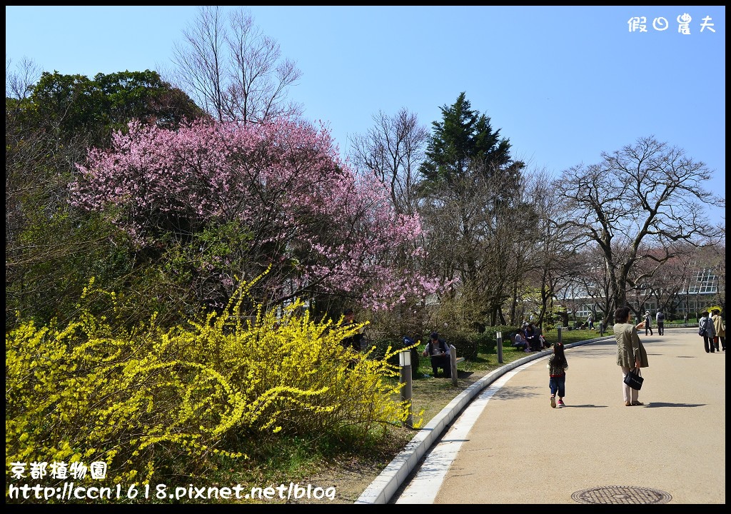 京都植物園DSC_9363