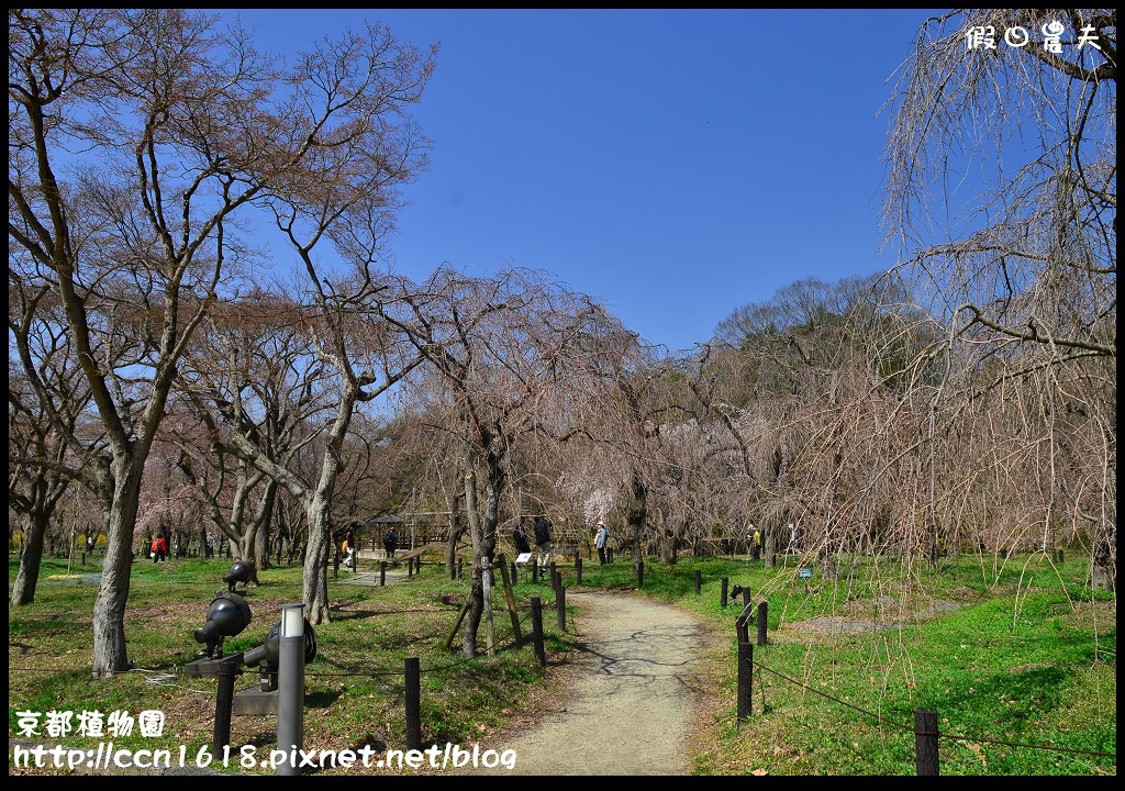 京都植物園DSC_9365
