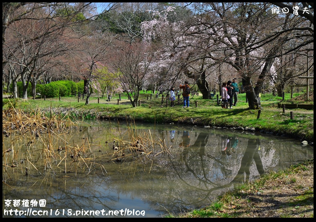 京都植物園DSC_9378