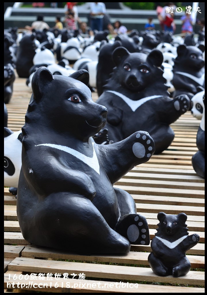 1600紙貓熊世界之旅DSC_3504
