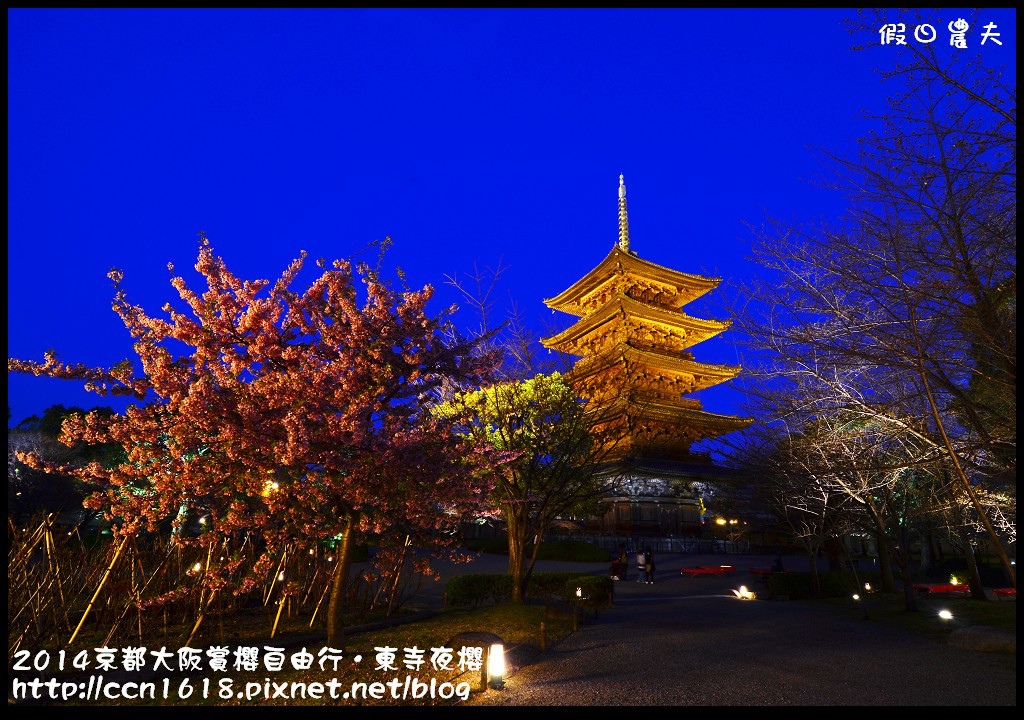 【日本旅遊】京都大阪賞櫻自由行．東寺夜櫻．怎麼可以這麼漂亮 @假日農夫愛趴趴照