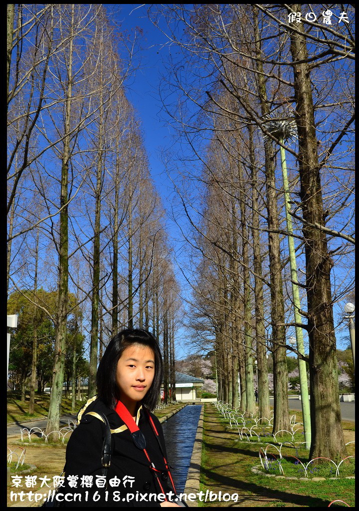 【日本旅遊】2014京都大阪賞櫻自由行．行程總覽 @假日農夫愛趴趴照