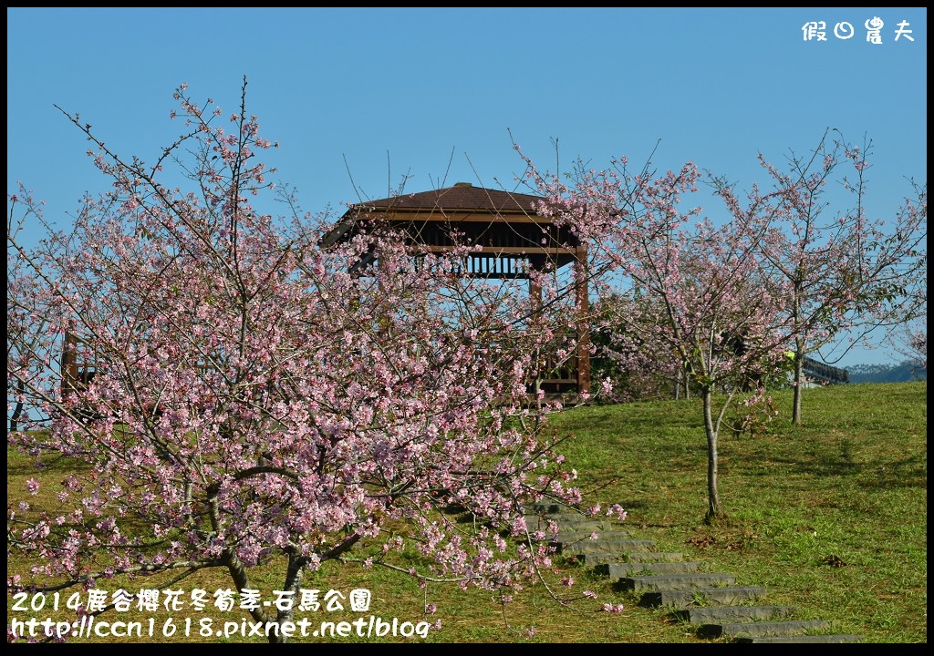 2014鹿谷櫻花冬筍季-石馬公園DSC_1693