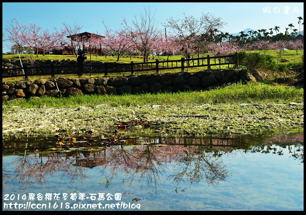 2014鹿谷櫻花冬筍季-石馬公園DSC_1697
