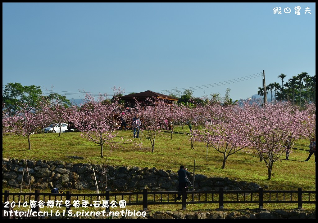 2014鹿谷櫻花冬筍季-石馬公園DSC_1700