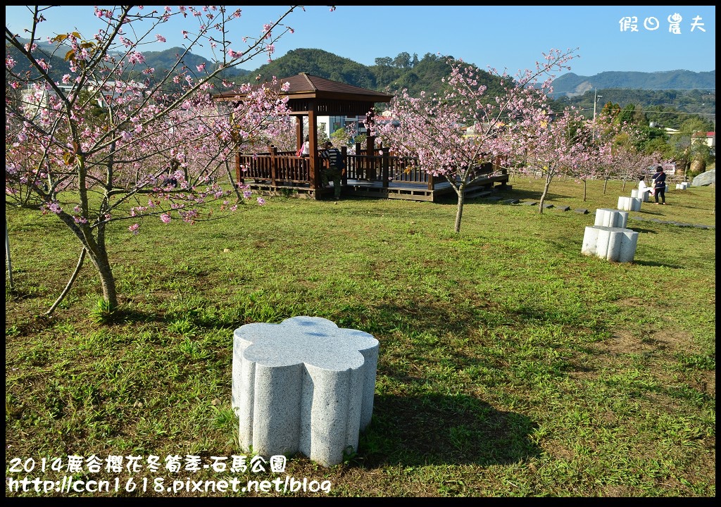 2014鹿谷櫻花冬筍季-石馬公園DSC_1710