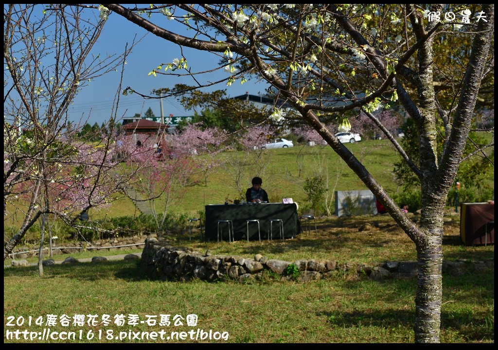 2014鹿谷櫻花冬筍季-石馬公園DSC_1783