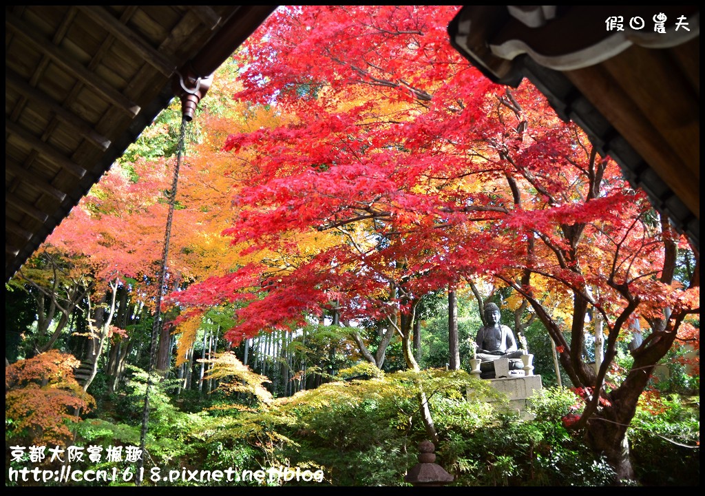 【日本旅遊】WI-UP日本行動上網分享器‧自助旅遊的好幫手 @假日農夫愛趴趴照