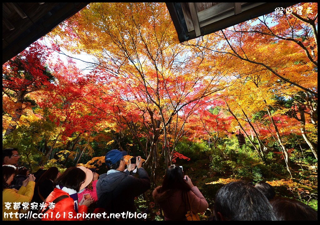 【日本旅遊】WI-UP日本行動上網分享器‧自助旅遊的好幫手 @假日農夫愛趴趴照