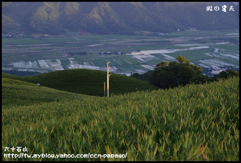 【花蓮景點】台灣的小瑞士‧六十石山賞金針花/季節限定的美景 @假日農夫愛趴趴照