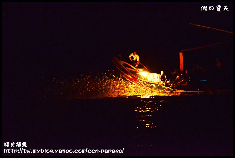 【攝影】即將失傳的傳統捕魚方式‧金山蹦火仔‧磺火捕魚 @假日農夫愛趴趴照