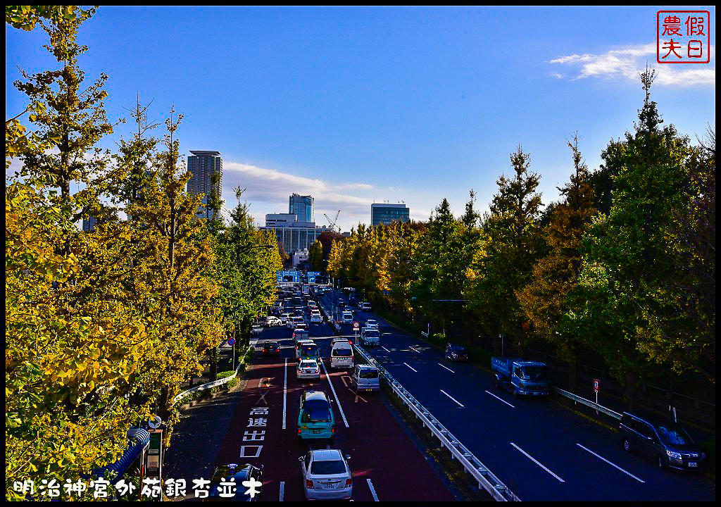 東京旅遊|明治神宮外苑銀杏並木．季節限定的黃金大道