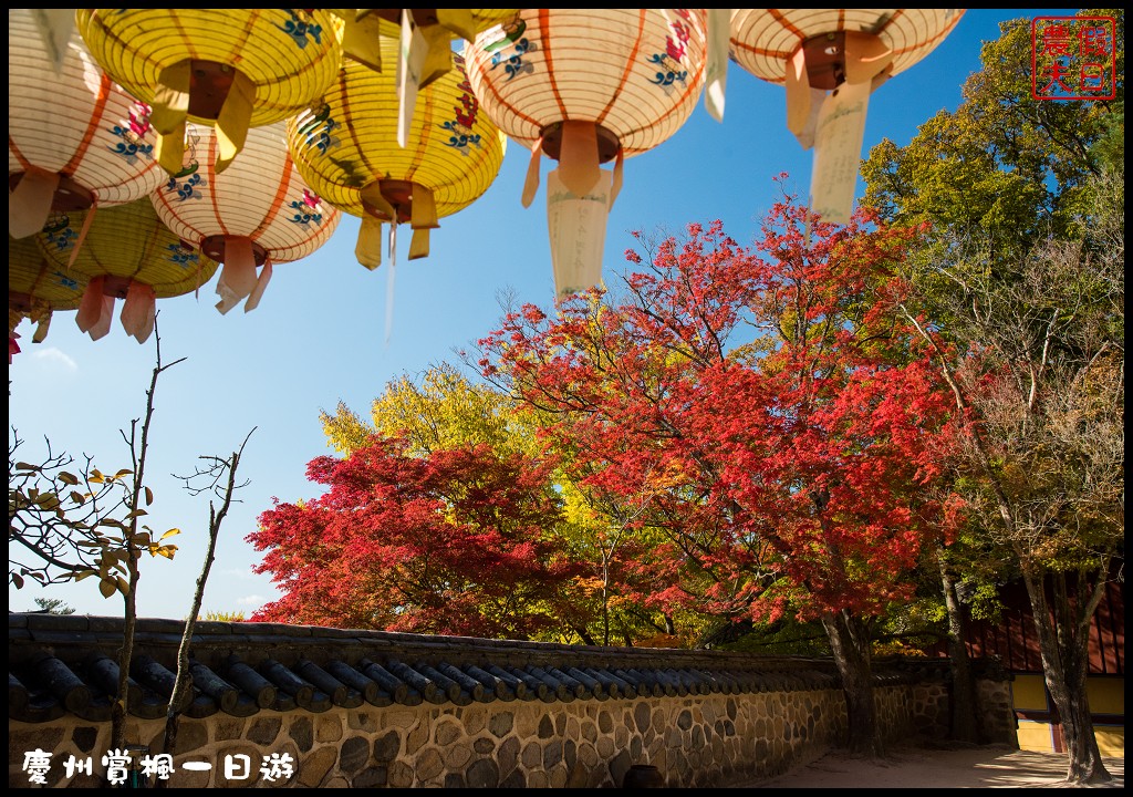 韓國旅遊|慶州賞楓一日遊．世界文化遺產佛國寺、EXPO公園、大陵苑、特色韓屋STARBUCKS一次玩遍