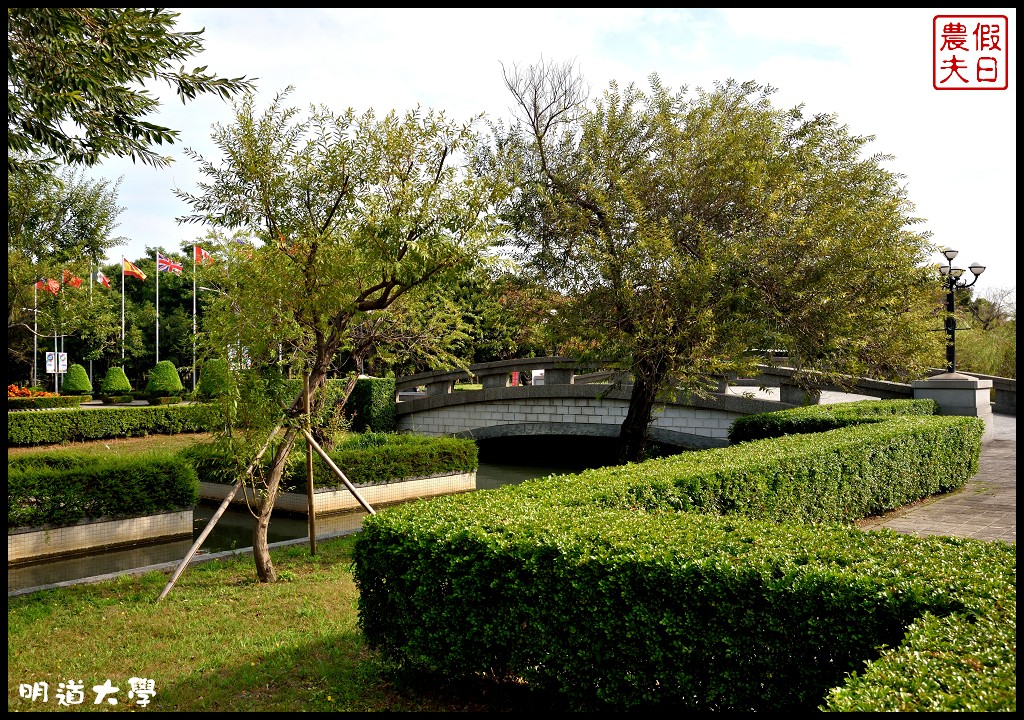 彰化景點|埤頭明道大學白雪木．莊園式的校園就像藝術公園般漂亮