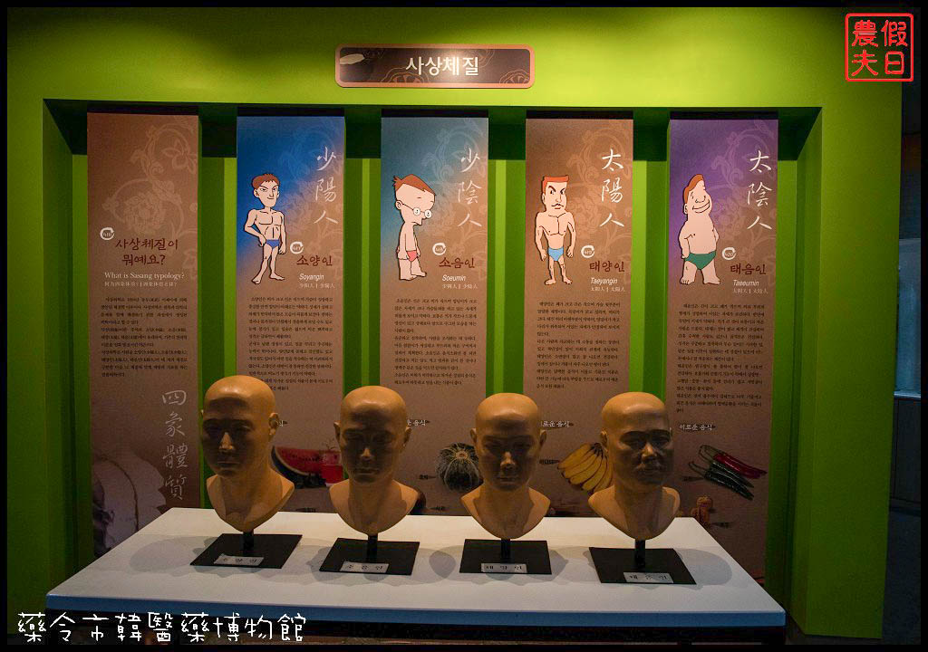 大邱旅遊|藥令市韓醫藥博物館．免費體驗穿醫師服和醫女服/免費參觀
