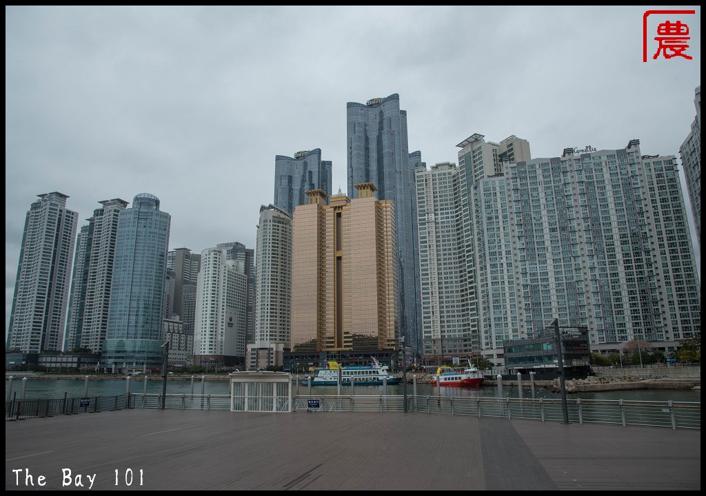 韓國旅遊|釜山冬柏島The Bay 101．隱藏版的絕美倒影拍攝地怎麼去/手機相機怎麼拍