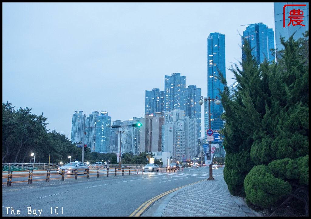 韓國旅遊|釜山冬柏島The Bay 101．隱藏版的絕美倒影拍攝地怎麼去/手機相機怎麼拍