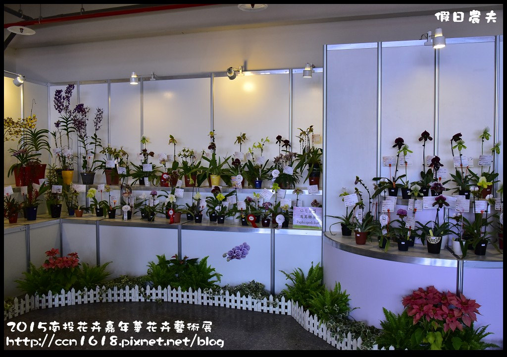 2015南投花卉嘉年華花卉藝術展_DSC3322