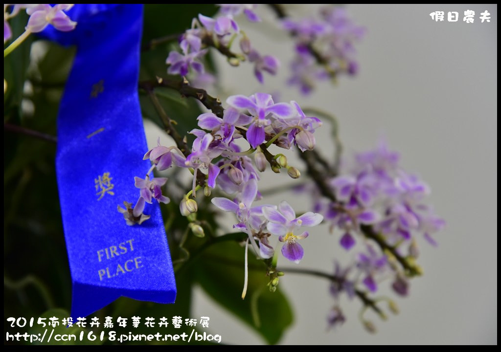 2015南投花卉嘉年華花卉藝術展_DSC3309