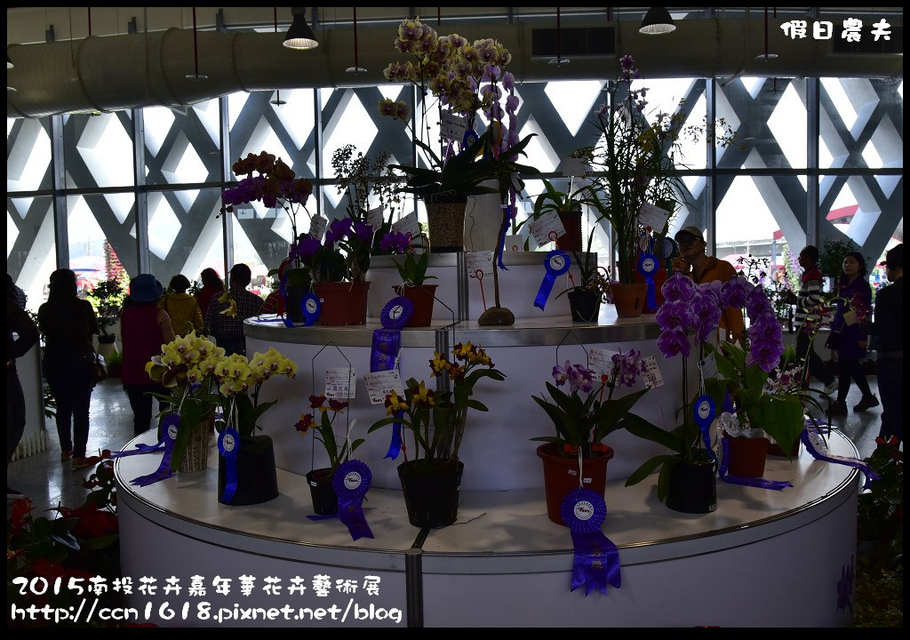 2015南投花卉嘉年華花卉藝術展_DSC3302