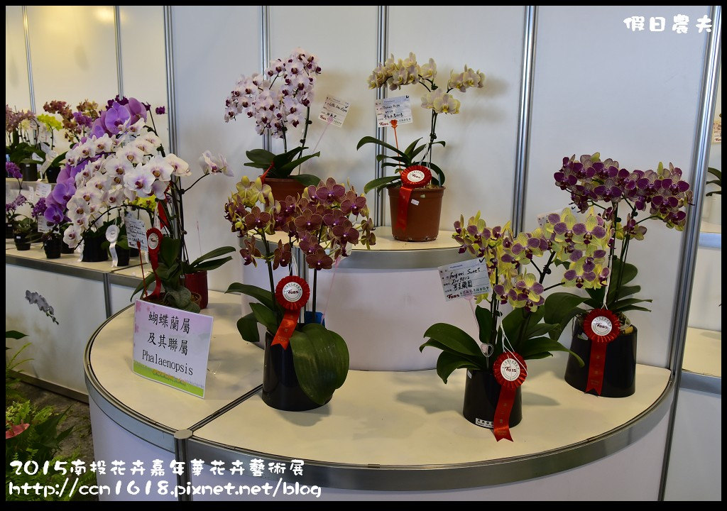 2015南投花卉嘉年華花卉藝術展_DSC3301