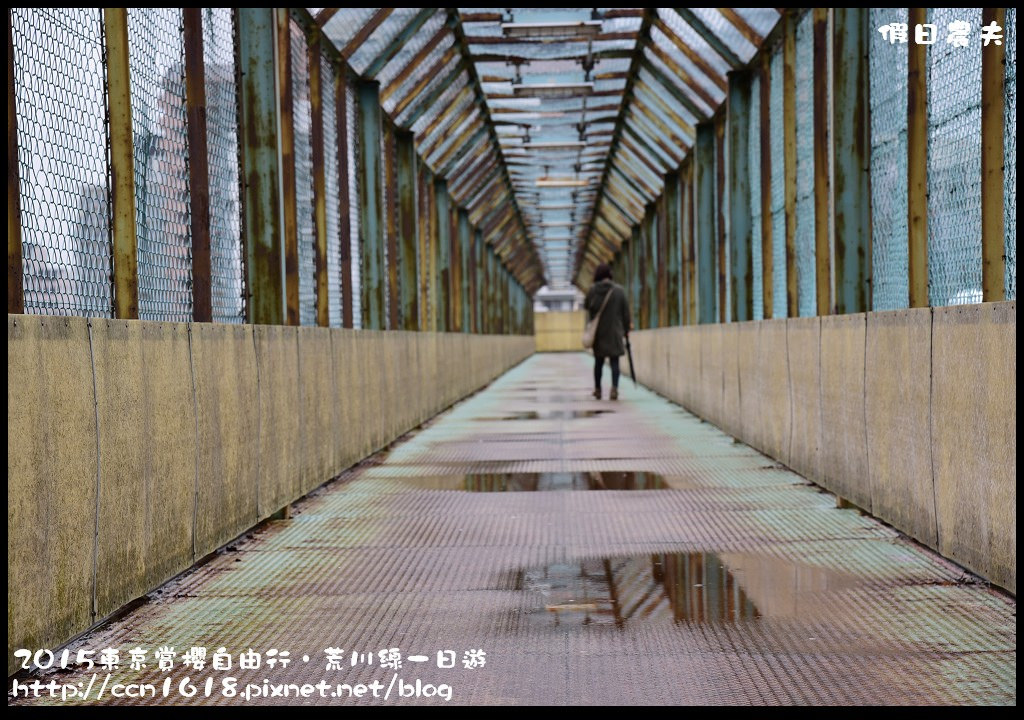 2015東京賞櫻自由行‧荒川線一日遊DSC_4278