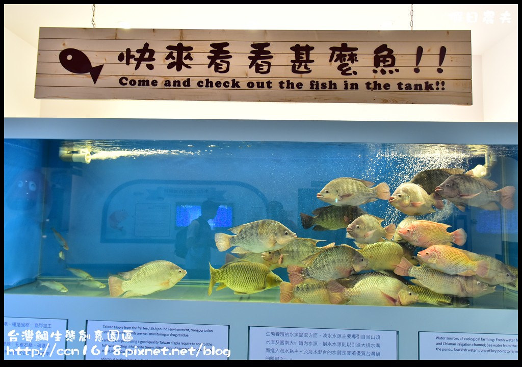 台灣鯛生態創意園區DSC_8491