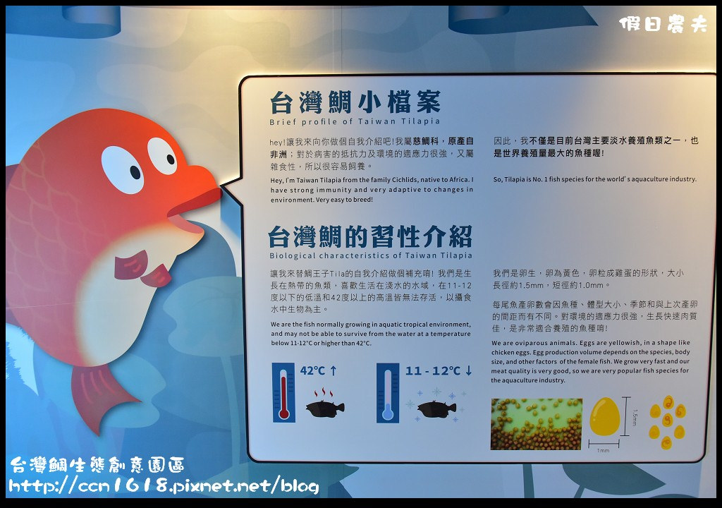 台灣鯛生態創意園區DSC_8493