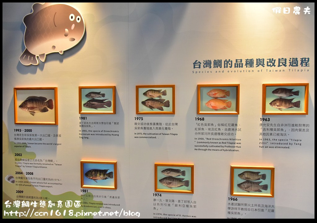 台灣鯛生態創意園區DSC_8495