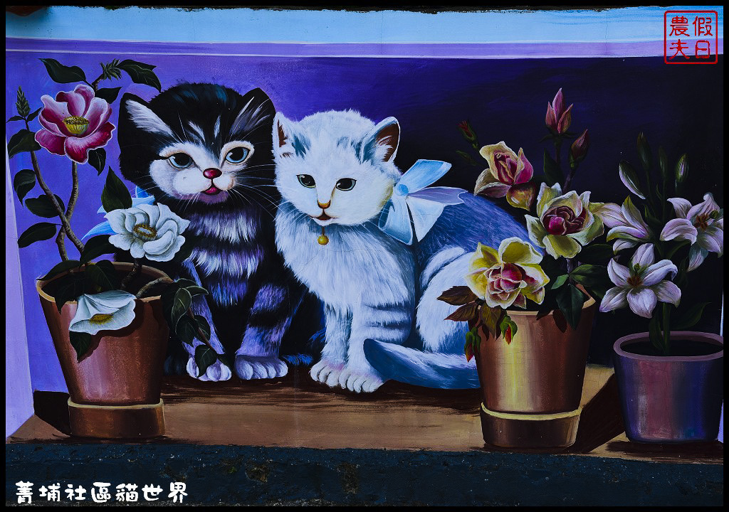 菁埔社區貓世界DSC_3666