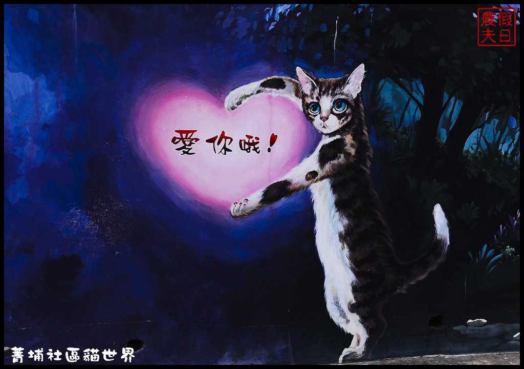 菁埔社區貓世界DSC_3696
