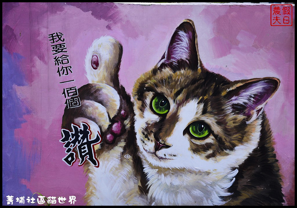 菁埔社區貓世界DSC_3698