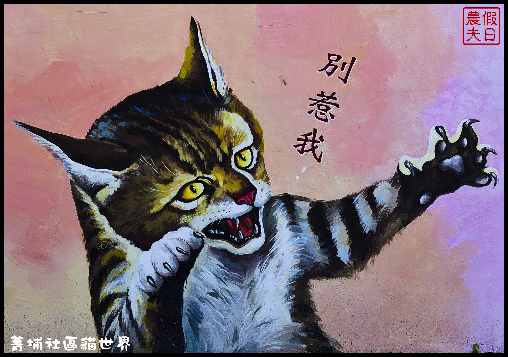 菁埔社區貓世界DSC_3671