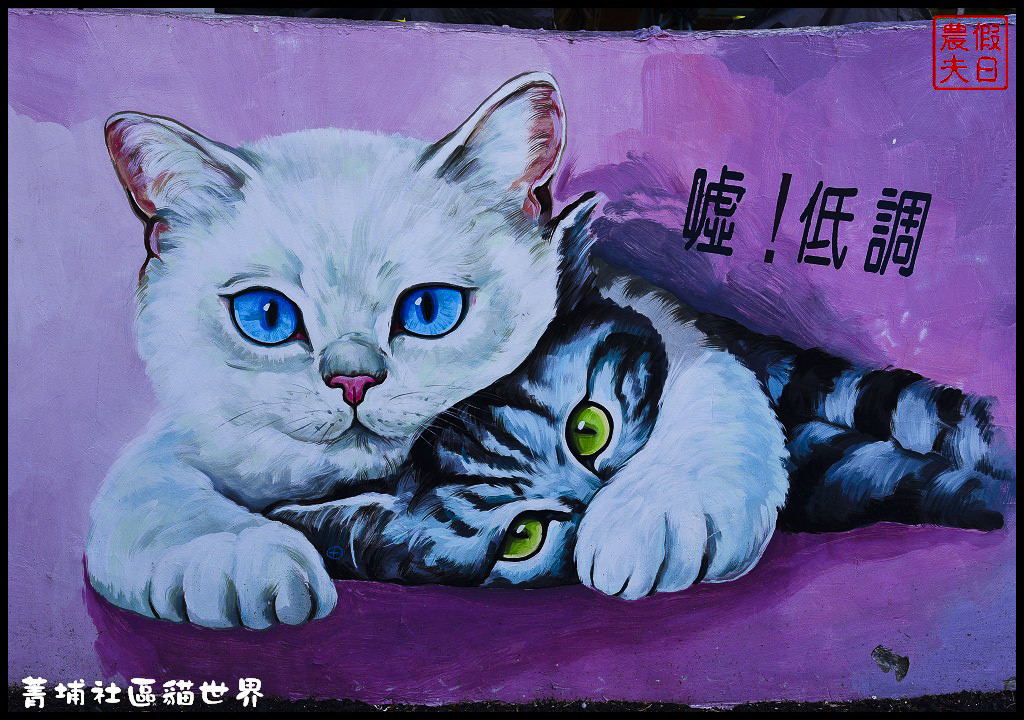 菁埔社區貓世界DSC_3672