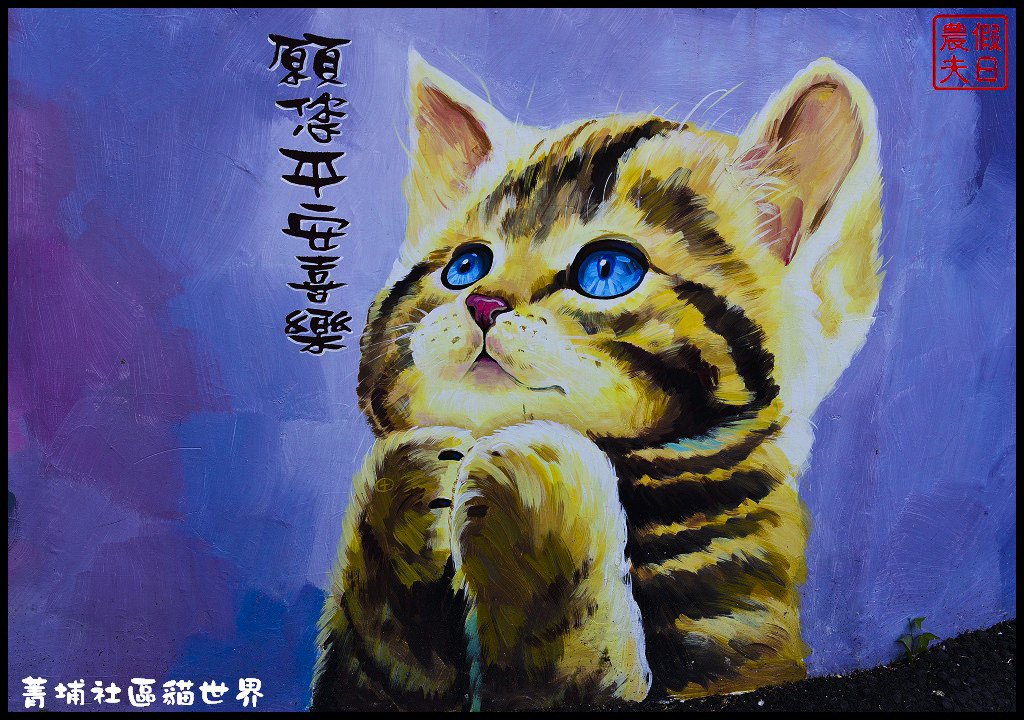菁埔社區貓世界DSC_3673