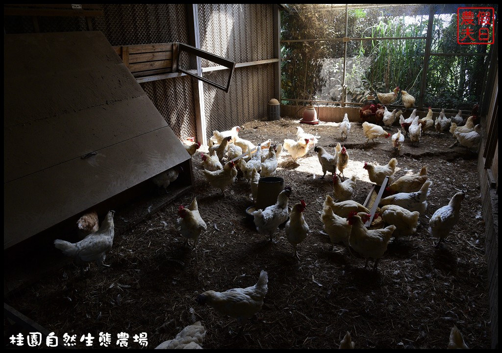 桂園自然生態農場DSC_0338