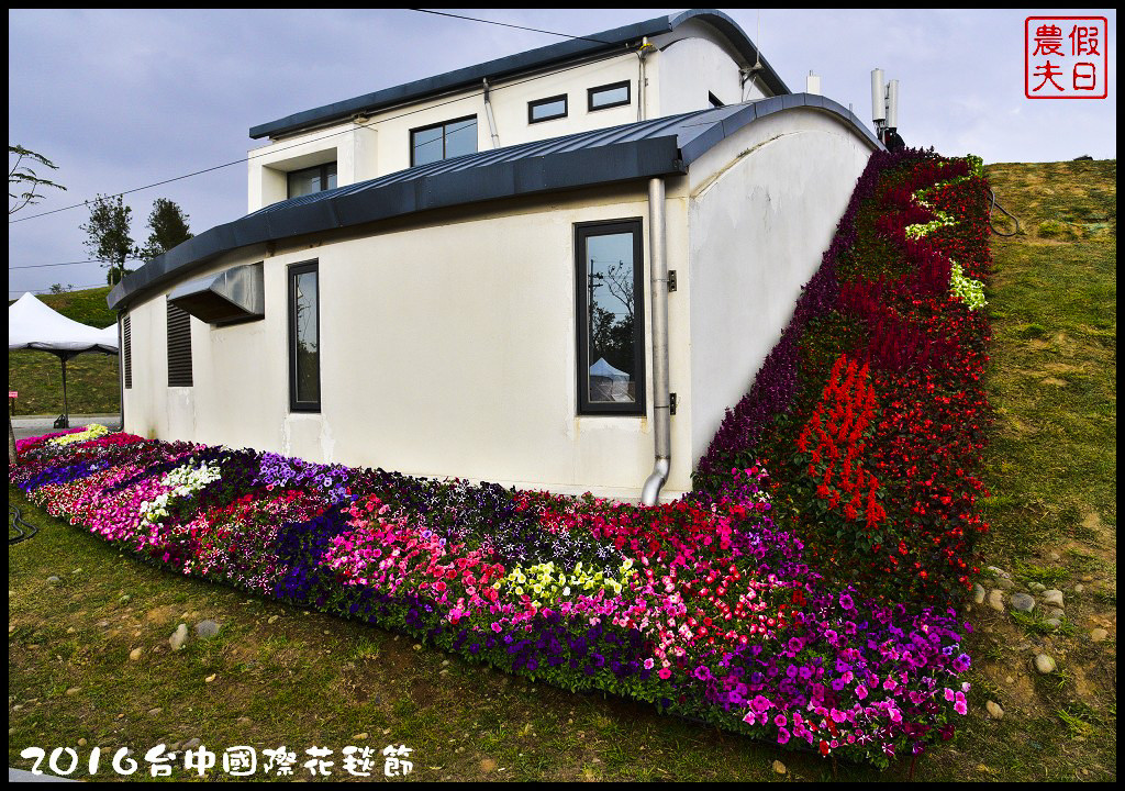 2016台中國際花毯節_DSC6640