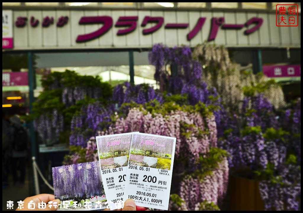東京自由行-足利花卉公園DSC_1537