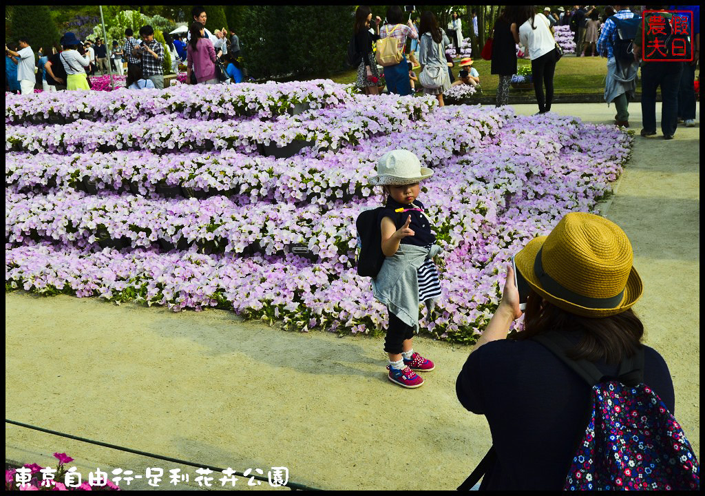 東京自由行-足利花卉公園DSC_1544