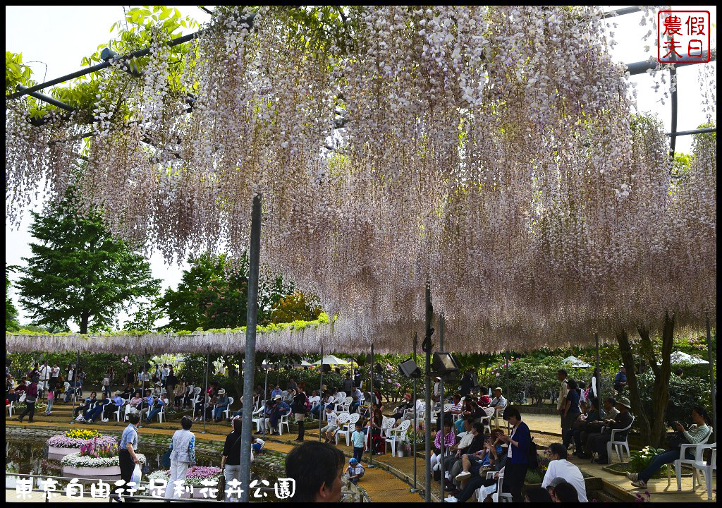 東京自由行-足利花卉公園DSC_1547