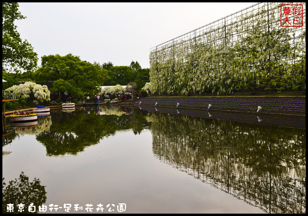 東京自由行-足利花卉公園DSC_1605